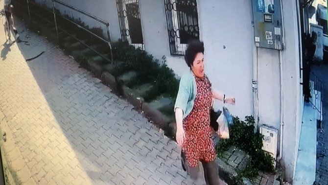 İ̇stanbul’da Korku Dolu Pitbull Saldırısı Kamerada: Köpeğini Parka Götüren Kadın Dehşeti Yaşadı