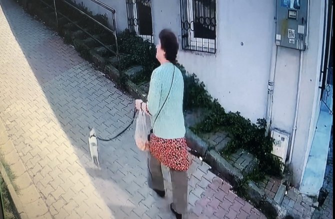 İ̇stanbul’da Korku Dolu Pitbull Saldırısı Kamerada: Köpeğini Parka Götüren Kadın Dehşeti Yaşadı