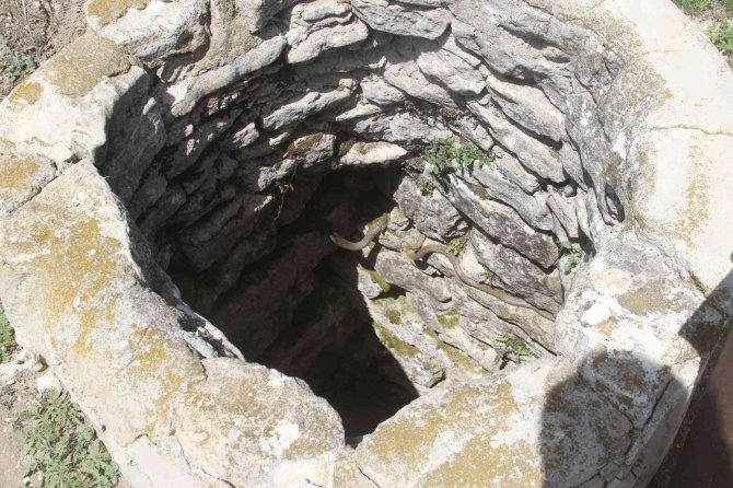 Beyşehir’de Havaların Isınmasıyla Su Kuyularında Yılanlar Ortaya Çıkmaya Başladı