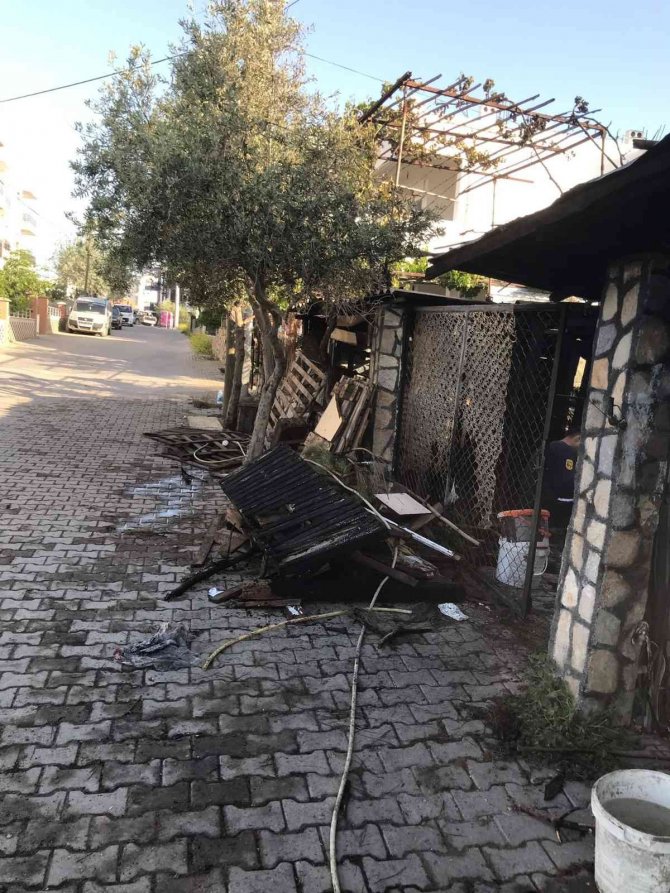 Ahır, Alev Topuna Döndü