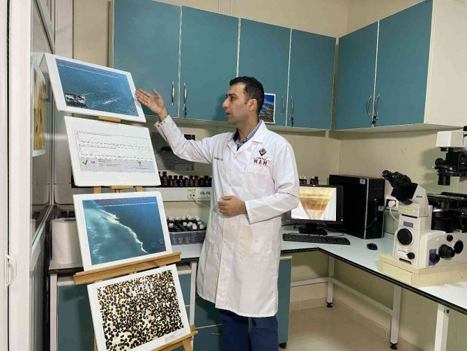 Marmara Denizi’nde Alg Patlaması Alarmı