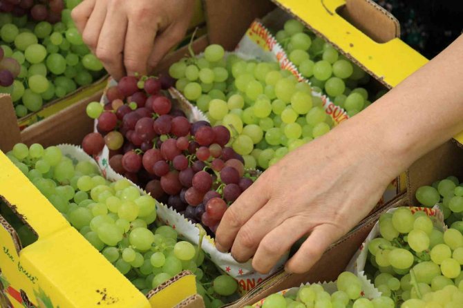 Kilosu 130 Tl; Turfanda Üzümler Avrupa Yolunda