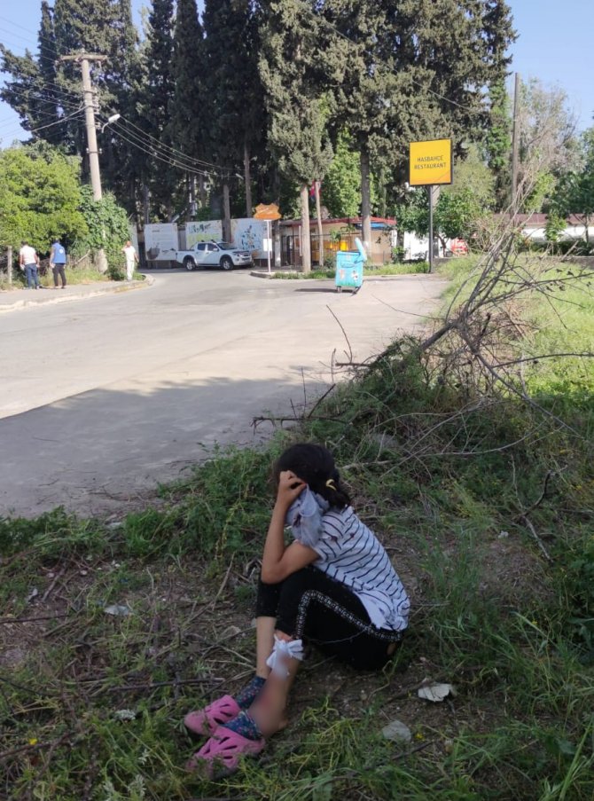 Sokak Köpekleri Küçük Çocuğu Yaraladı