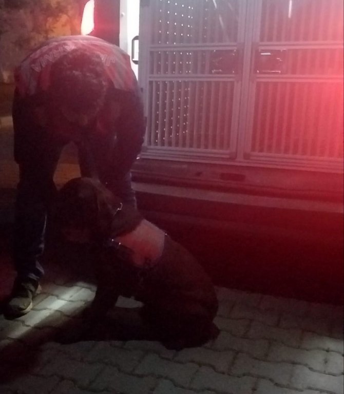 Osmaniye’de Kaybolan Sara Hastası Kadın Sağ Olarak Bulundu