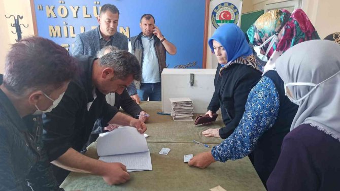 Bafra Sebze Üreticileri Birliği’nde Aşçı Dönemi