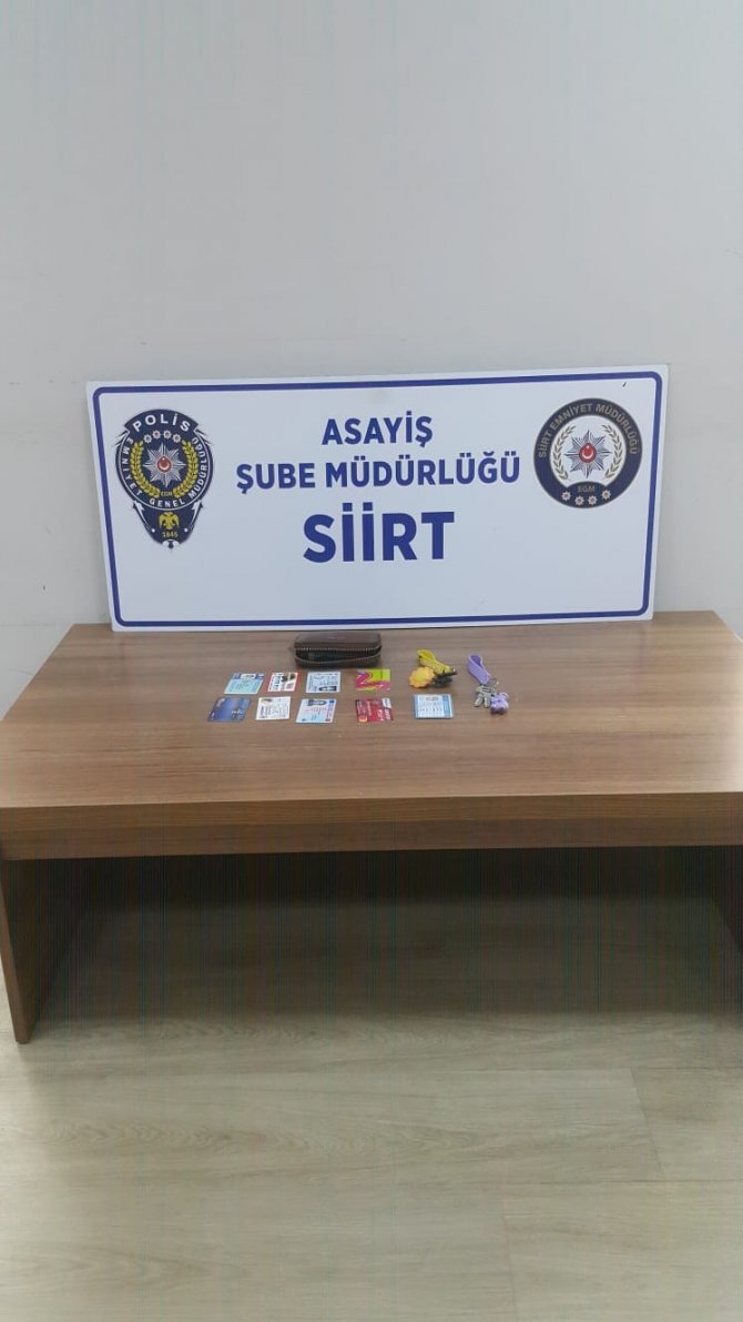 Siirt’te Otomobilden Çanta Çalan Hırsız Tutuklandı