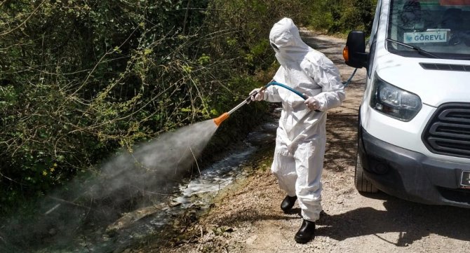Sinop’ta İlaçlama Çalışması