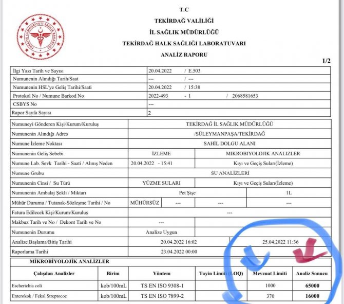 Marmara Denizi’nde Korkutan Sonuçlar: Teski̇, Denizi 65 Kat Kirletiyor