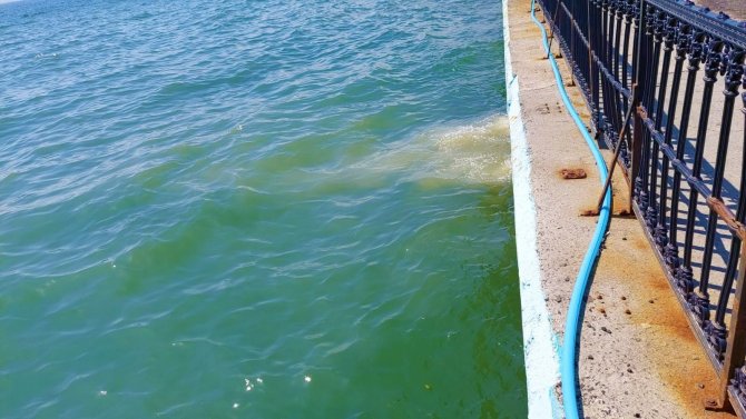 Marmara Denizi’nde Korkutan Sonuçlar: Teski̇, Denizi 65 Kat Kirletiyor