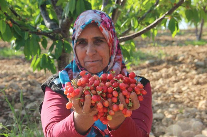 Fiyat Beklentisi 30 Tl