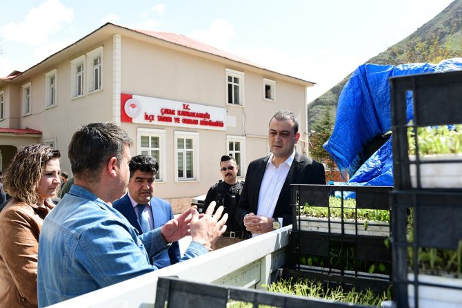 Çatak’ta Çiftçilere 30 Bin Adaçayı Ve Kekik Fidesi Dağıtıldı