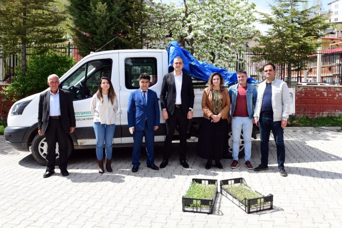 Çatak’ta Çiftçilere 30 Bin Adaçayı Ve Kekik Fidesi Dağıtıldı