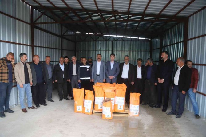 Çiftçilere Silajlık Mısır Tohumu Dağıtımı