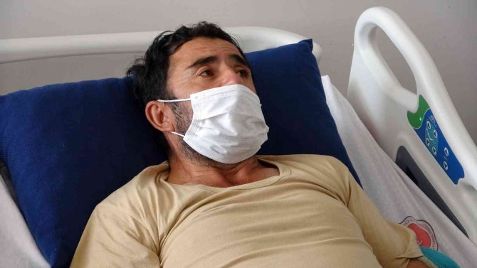 Yozgat’ta Kene Vakaları Görülmeye Başladı