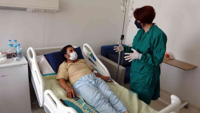 Yozgat’ta Kene Vakaları Görülmeye Başladı