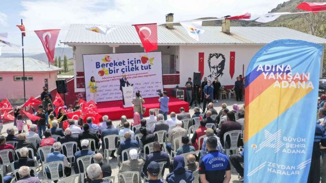 Pozantı’da 1 Milyon 200 Çilek Fidesi Dağıtıldı