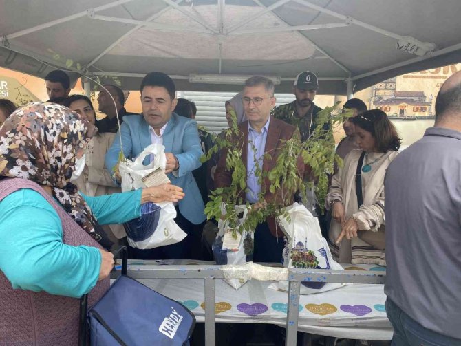 Üsküdar’da Binlerce Mor Salkım Ve Erguvan Vatandaşlara Dağıtıldı