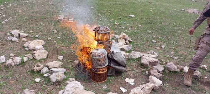 Şırnak’ta Kınalı Keklikler Doğaya Bırakıldı, Kafesleri Yakıldı