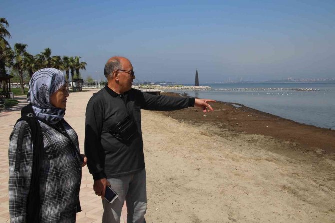 Hayvan Gübresinin Esir Aldığı Sahile Martı Bile Uğramıyor