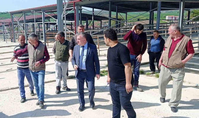 Bölgenin En Büyük Canlı Hayvan Pazarlarından Biri Açılıyor