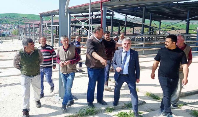 Bölgenin En Büyük Canlı Hayvan Pazarlarından Biri Açılıyor