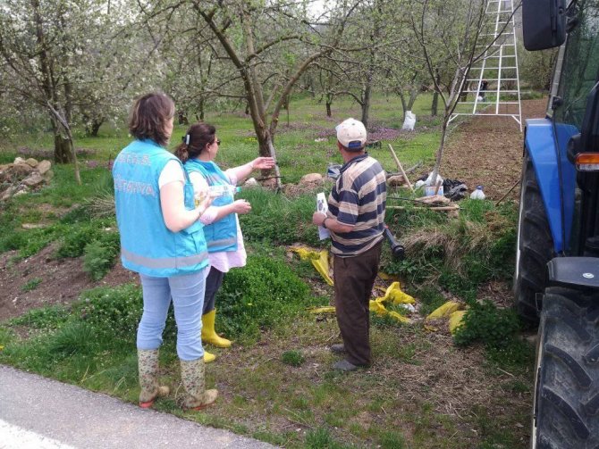 Kütahya’da Meyve Bahçelerinde Monilya Hastalığı Survey Çalışmaları