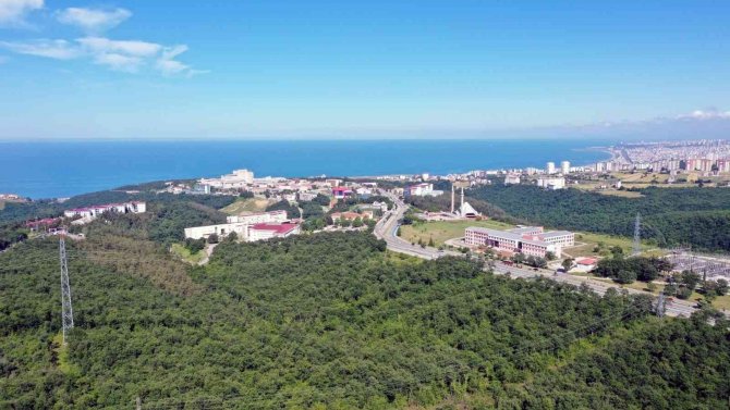 Omü Times Higher Education Etki Sıralaması 2022’de