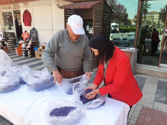 Pazaryeri’nde Üreticiye Tohum Desteği Sağlandı