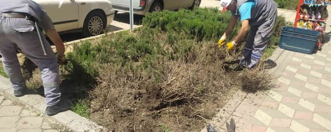 Sincan’da Ağaçlar Budanıyor, Çocuk Oyun Alanlarının Gerekli Bakımları Yapılıyor