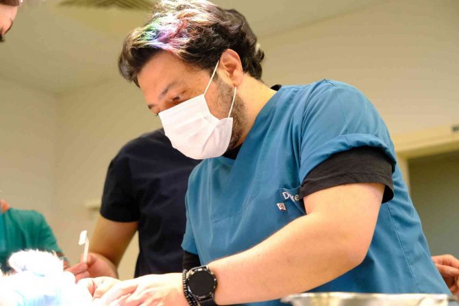 Beşinci Kattan Düşüp Çenesi Kırılan Kedi Sağlığına Kavuştu