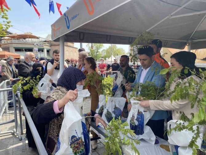 Üsküdar’da Binlerce Mor Salkım Ve Erguvan Vatandaşlara Dağıtıldı