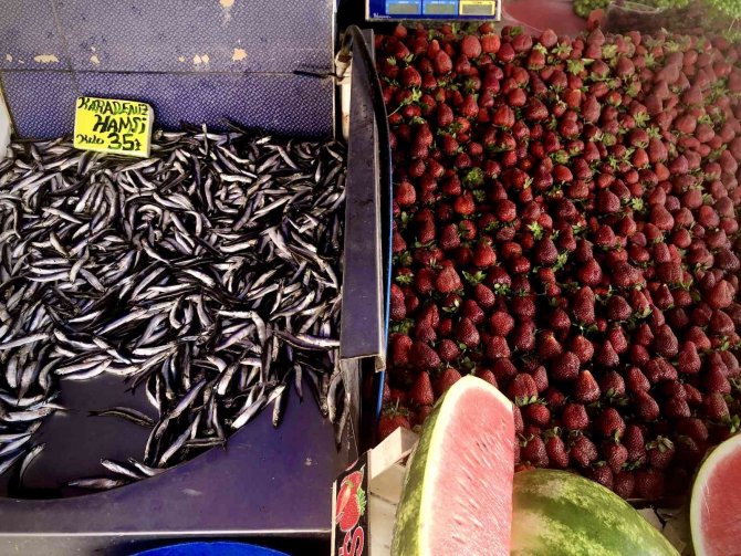 Sezonu Kapatan Balıkçılar Manav Oldu