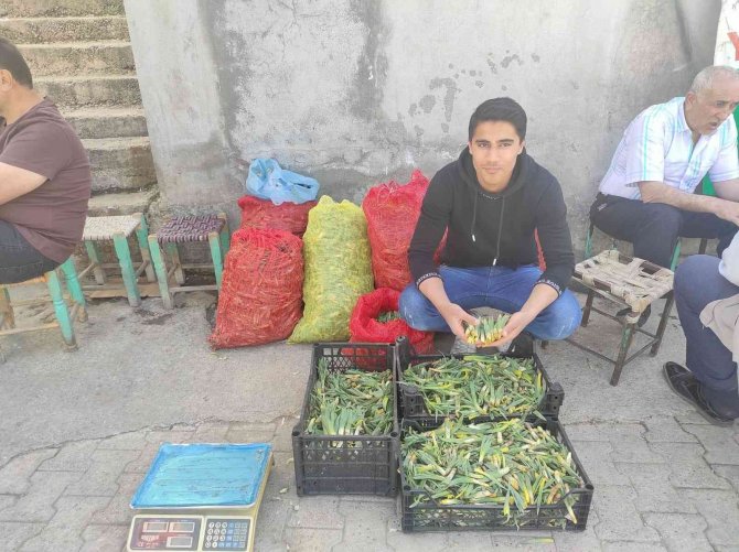 Batman’da Yüksek Dağlarda Yetişen Pancar, Köylülerin Geçim Kaynağı Oldu