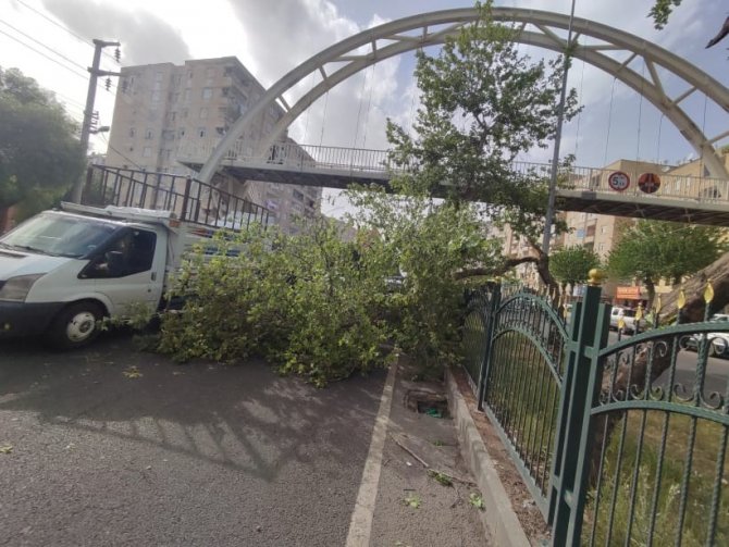 Diyarbakır’da Seyir Halindeki Ticari Aracın Üstüne Ağaç Devrildi