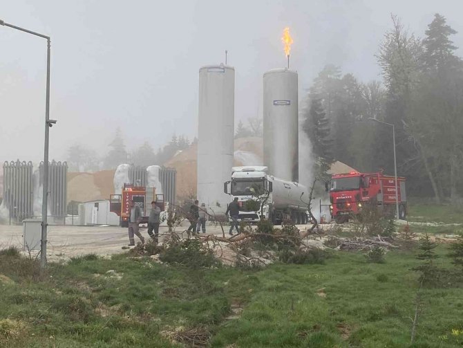 Şişecam İşletmesinde Korkutan Yangın: 1 Yaralı