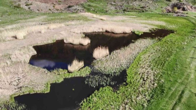 Doğa Harikası ‘Yüzen Adalar’ Manzarasıyla Göz Kamaştırıyor