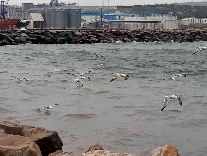 Bandırma’da Üç Gün Fırtınanın Etkili Olması Bekleniyor