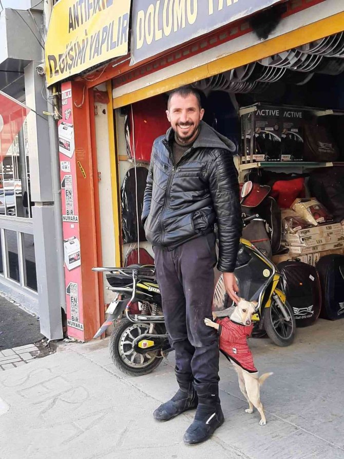 Ölen Köpeğinin Ardından Hukuk Mücadelesi Başlattı