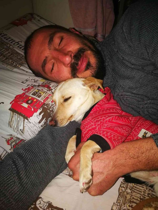 Ölen Köpeğinin Ardından Hukuk Mücadelesi Başlattı