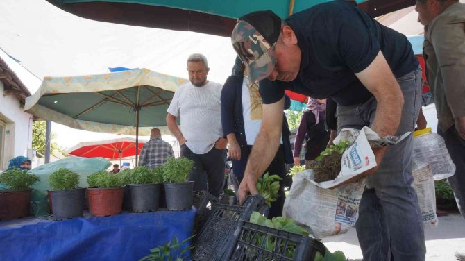 Sarıgöl’de Sebze Fidan Satışlarında Önemli Artış