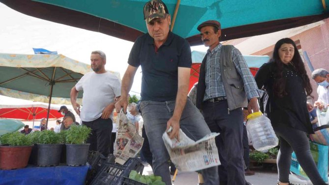 Sarıgöl’de Sebze Fidan Satışlarında Önemli Artış