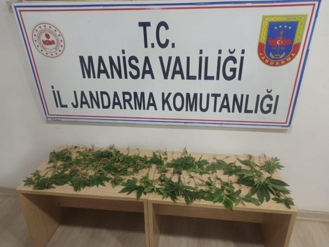 Jandarma Uyuşturucuya Geçit Vermiyor
