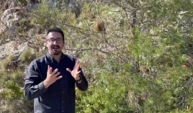 Bayram Tatilinde Çam Kese Böceğine Dikkat