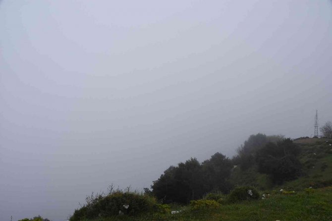 Karadeniz’de Gemilere Sis Uyarısı