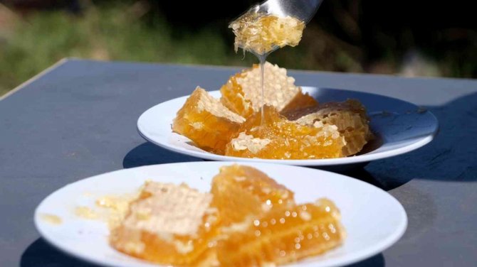 Dünyaca Bilinen Zara Balı Tescillendi