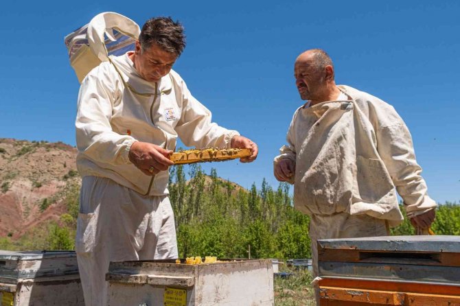 Dünyaca Bilinen Zara Balı Tescillendi