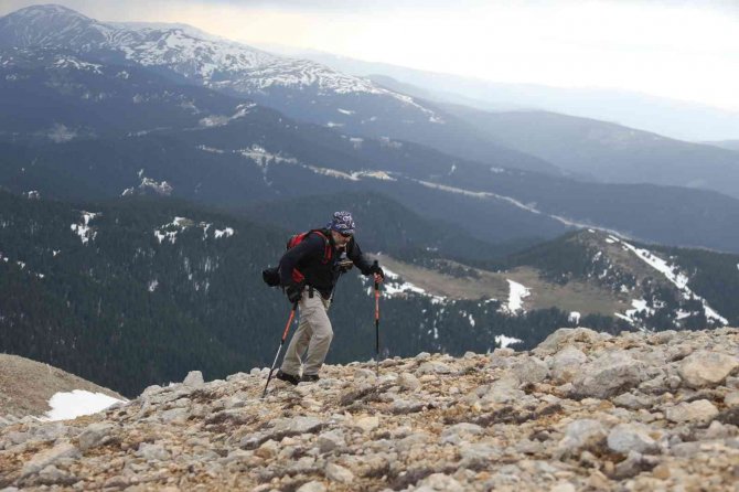 Türkiye’nin İlk Solo Dağcısı, 59. Zirvesine Ilgaz Dağı’nda Ulaştı