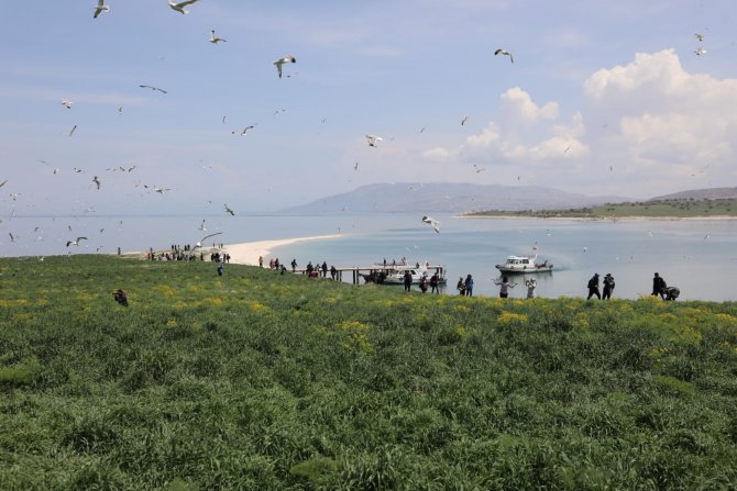 Çarpanak Adasında Doğa Yürüyüşü