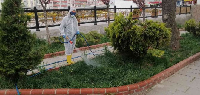 Park Ve Bahçeler Keneye Karşı İlaçlanıyor