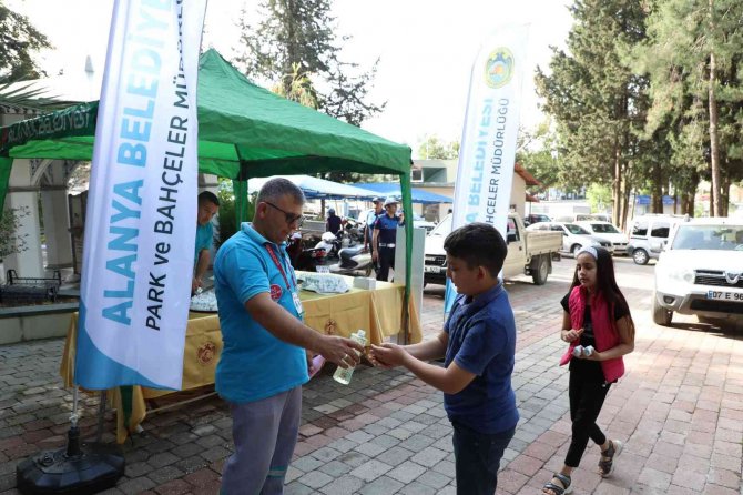 Alanya Belediyesi Bayramda 62 Bin Çiçek Dağıttı